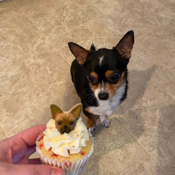 Silent 🤫 Show Notification 💕​ - Picture 7 of 15